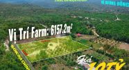 BÁN VƯỜN SẦU RIÊNG 6157m2 CÂY THÔNG TRONG – PHÚ QUỐC